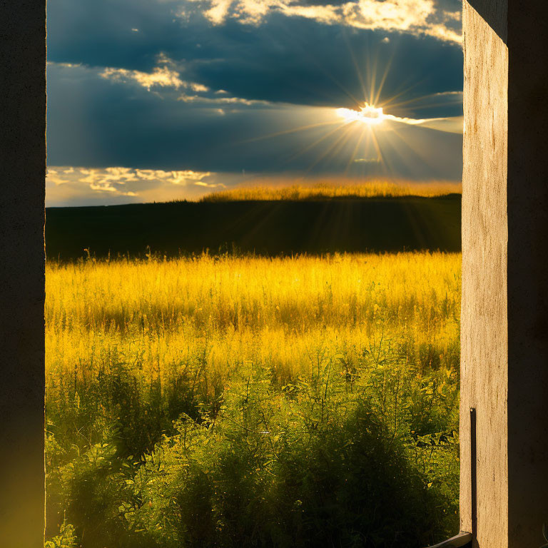 Sunbeams shining on golden field from concrete structure