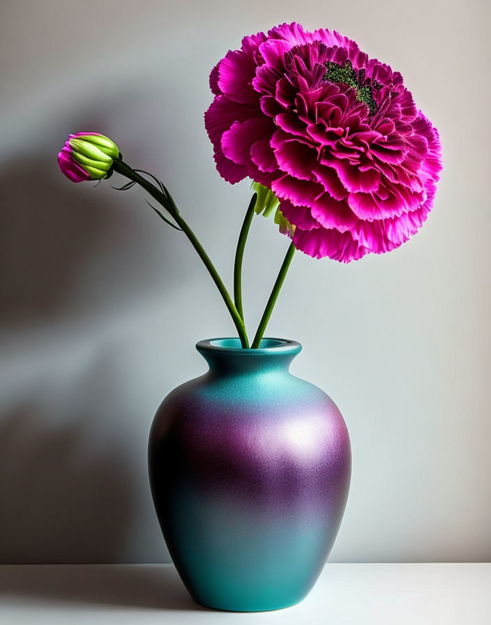 Pink Carnation with Open Bloom and Closed Bud in Blue-Purple Vase