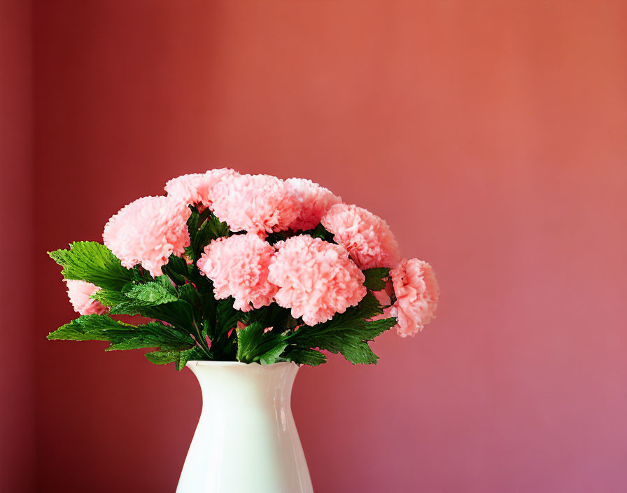 Pink Carnations Bouquet in White Vase on Gradient Pink Background