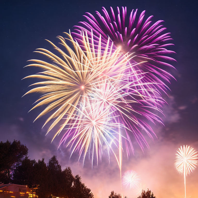 Colorful fireworks light up night sky over dark trees