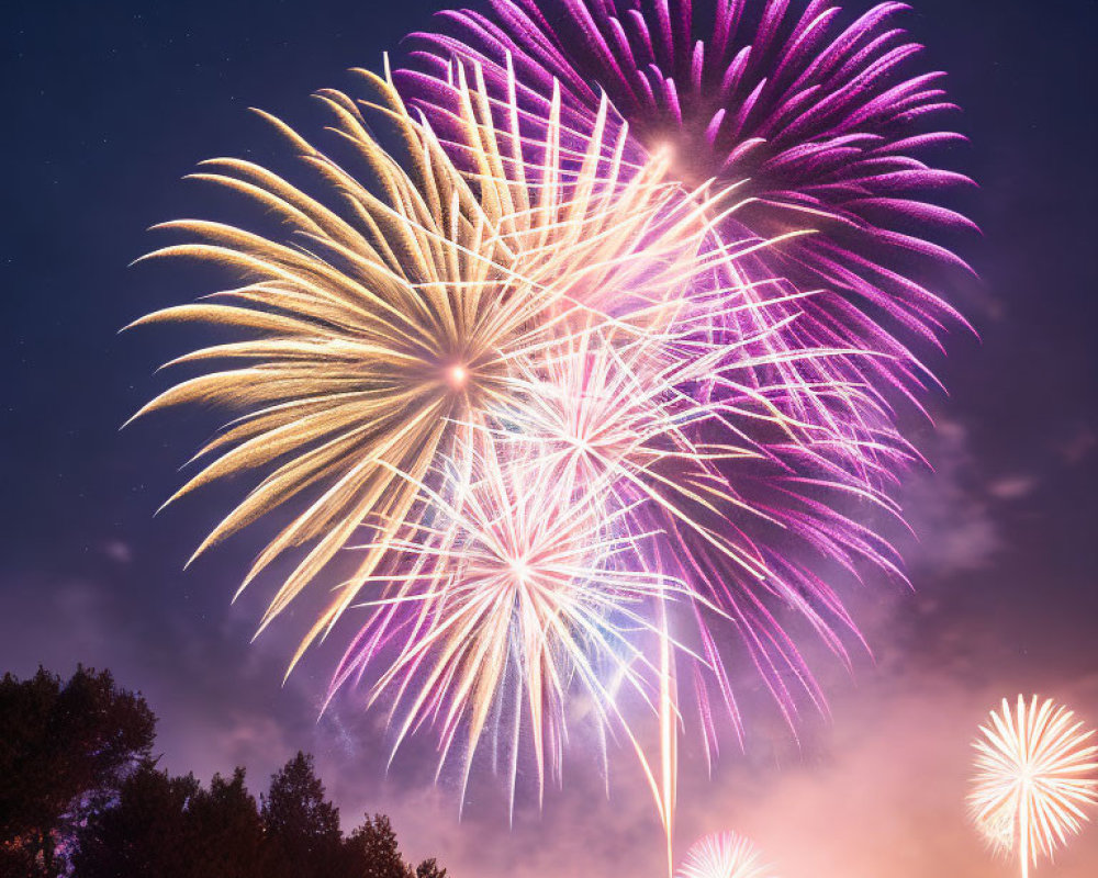 Colorful fireworks light up night sky over dark trees