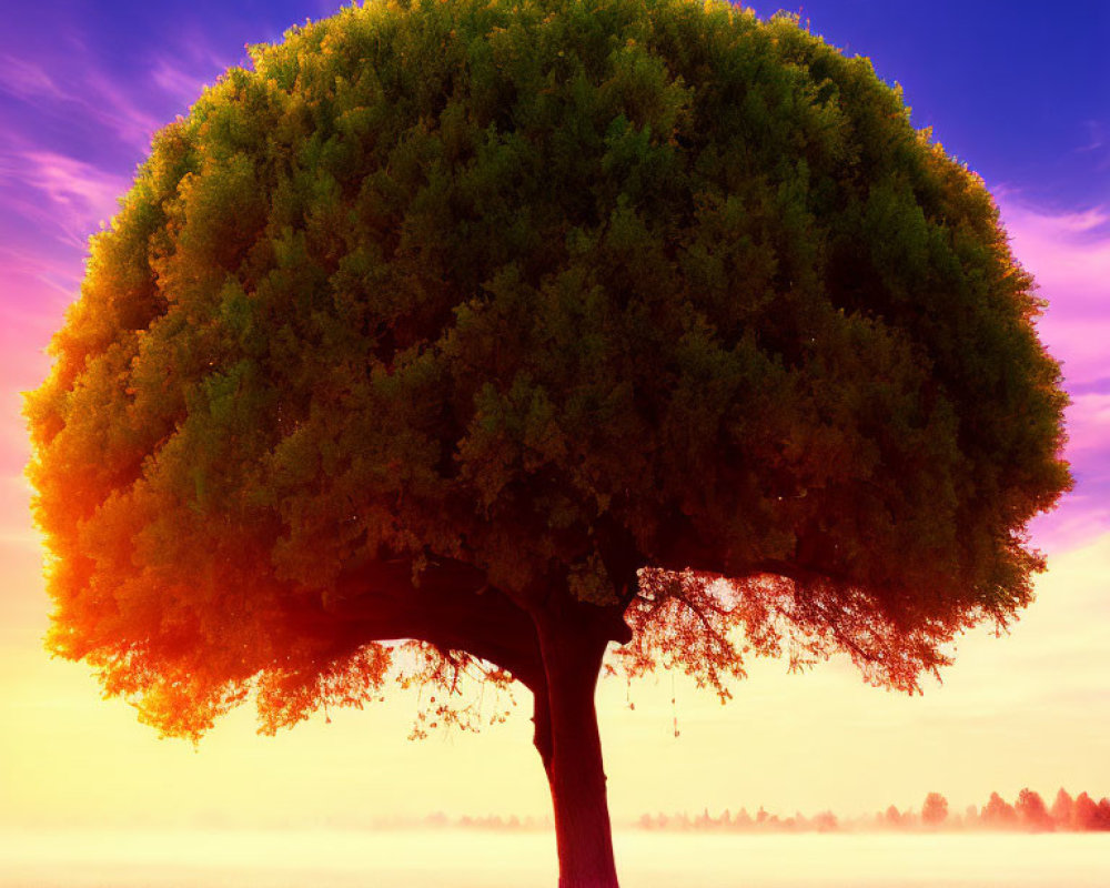 Lush canopy tree in vibrant purple field at dawn