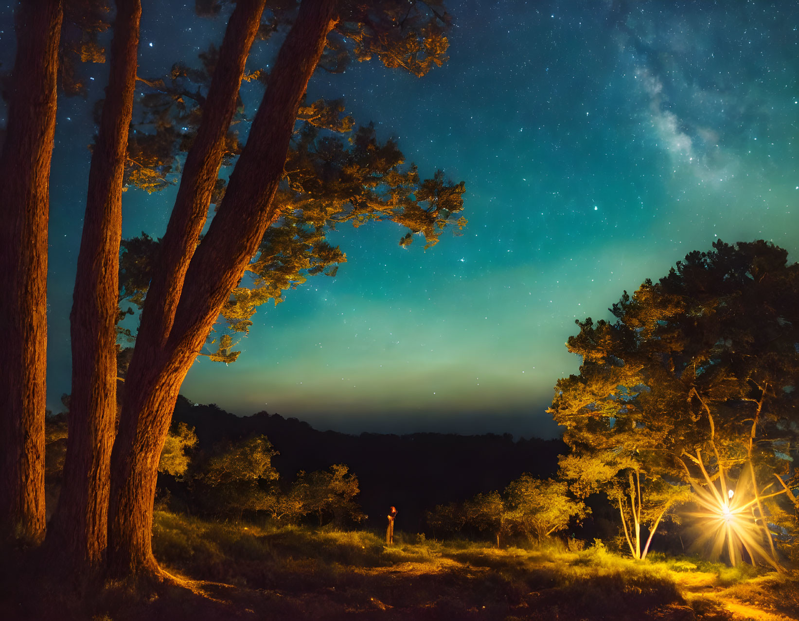 Person standing under starry sky in forest clearing by campfire glow