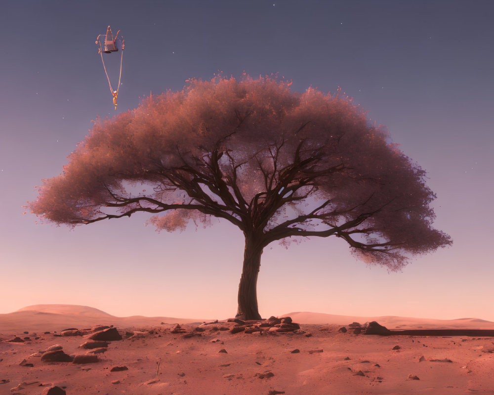 Solitary tree with dense canopy in tranquil desert landscape at dusk