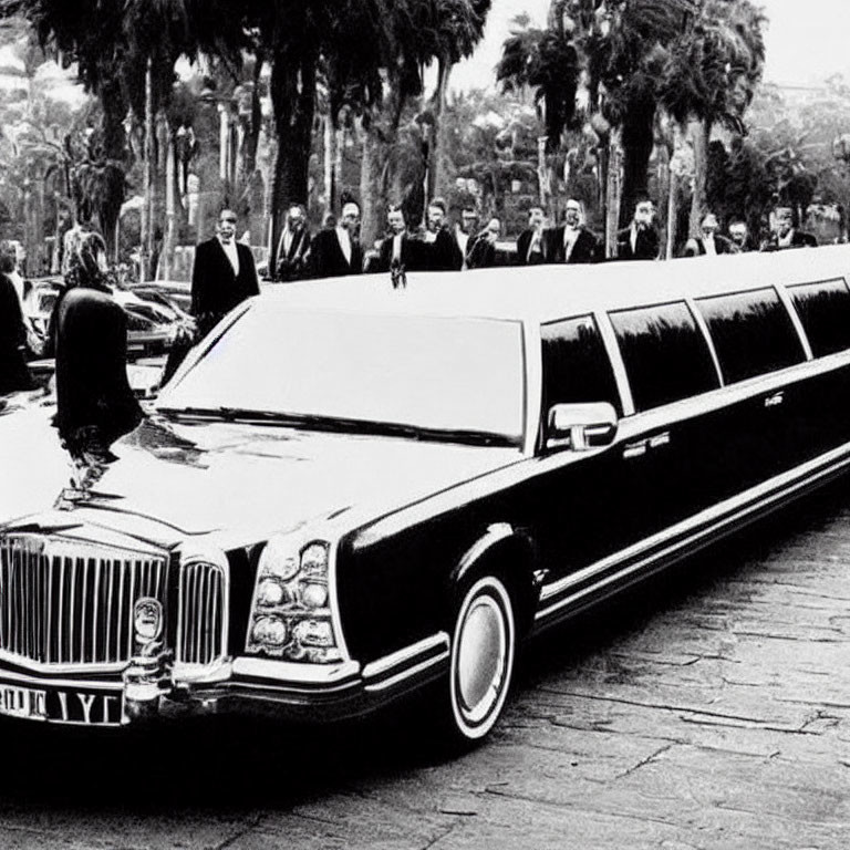 Monochrome photo of limousine and chauffeurs by palm trees