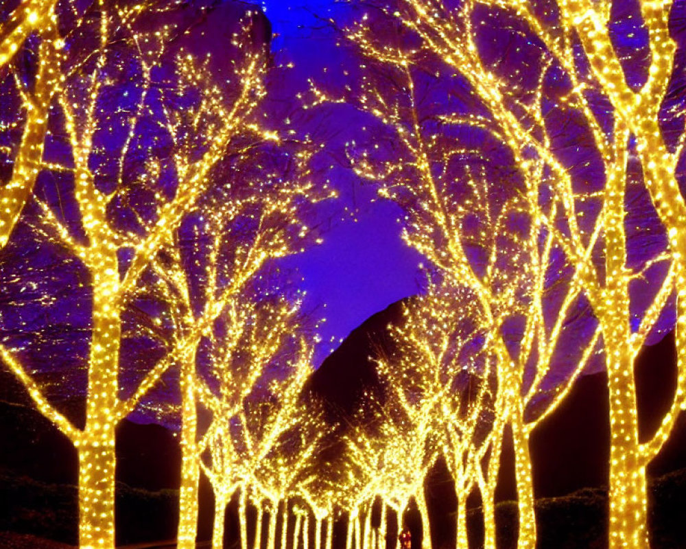 Tree-lined Pathway Illuminated by Yellow Fairy Lights