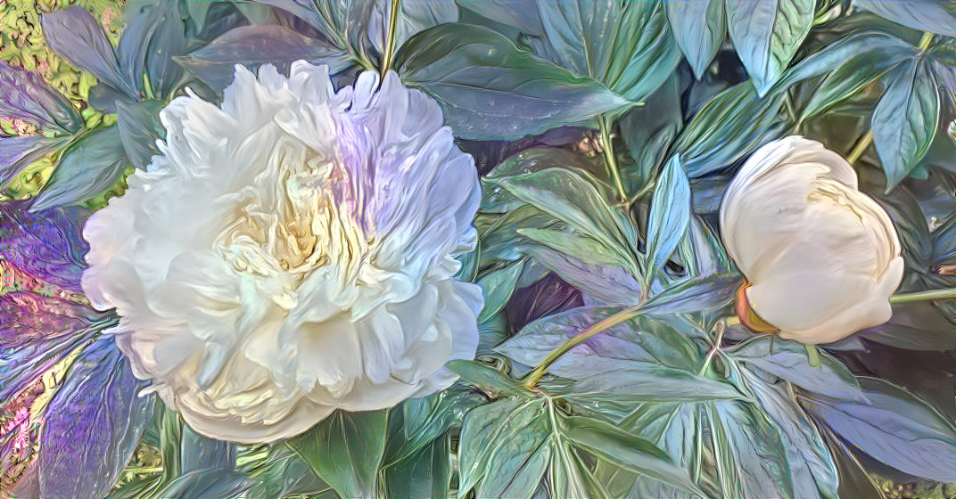 Pastel Paeonia