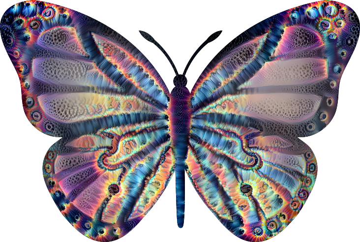 Colourful butterfly