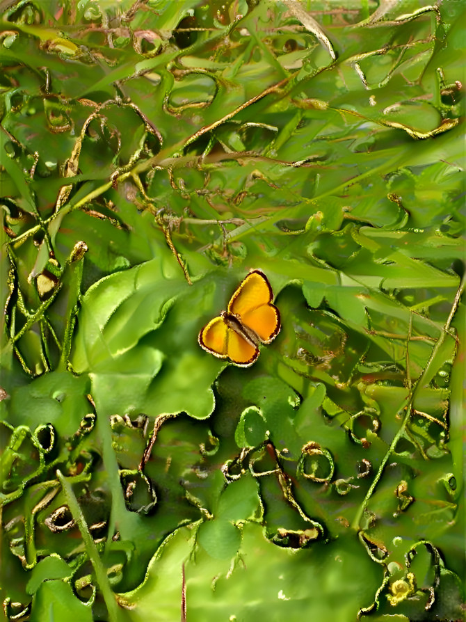 A piece of sunshine in the grass