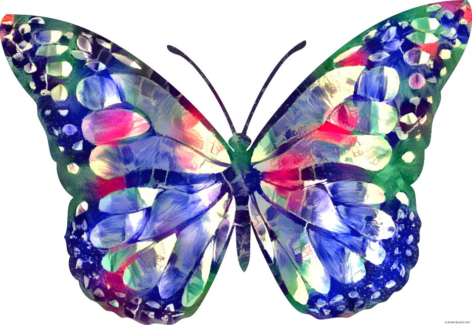 Colourful butterfly