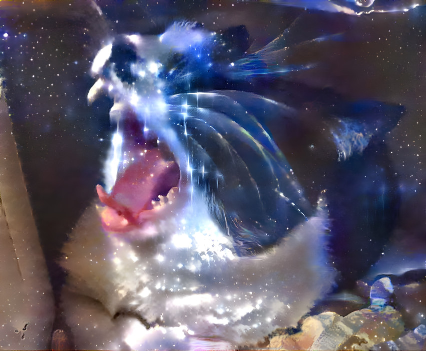 In space no one can hear you meow