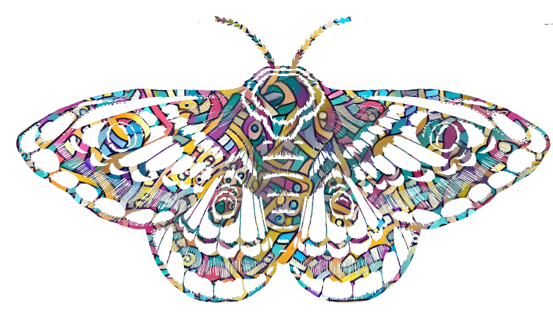 Colourful moth