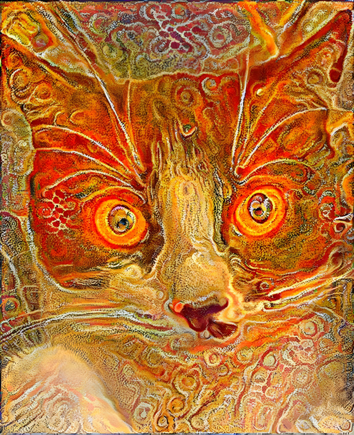 Aboriginal cat (Style by Freda Brady)