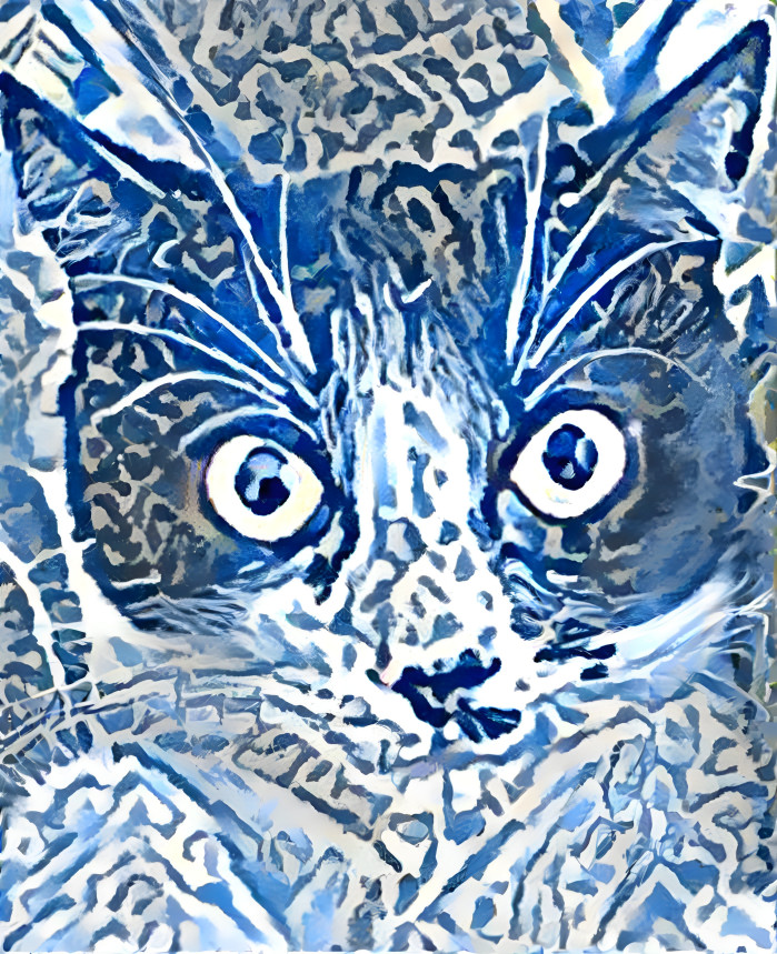 Gato indigo