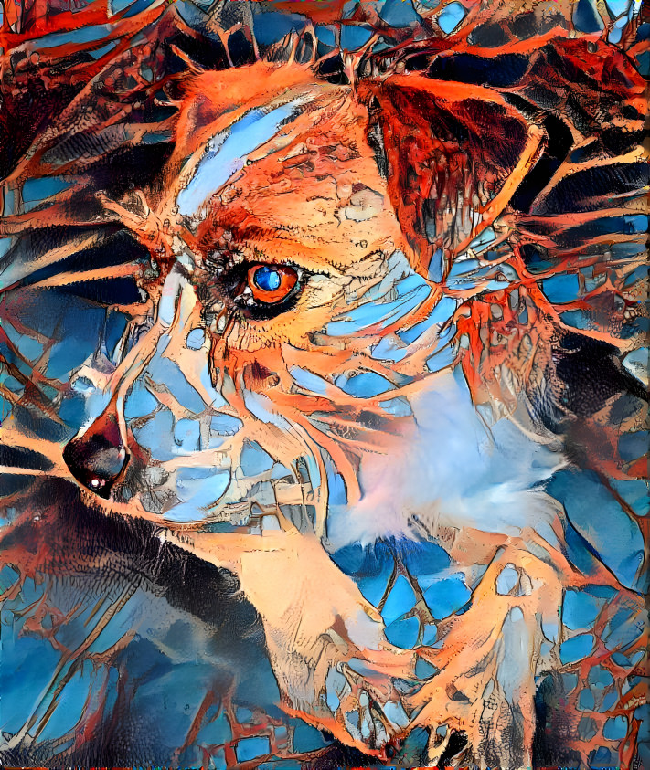 Moebius doggy