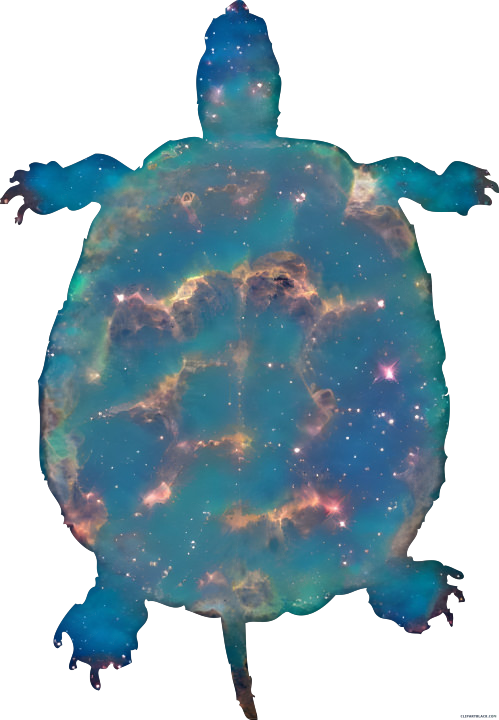 Space turtle