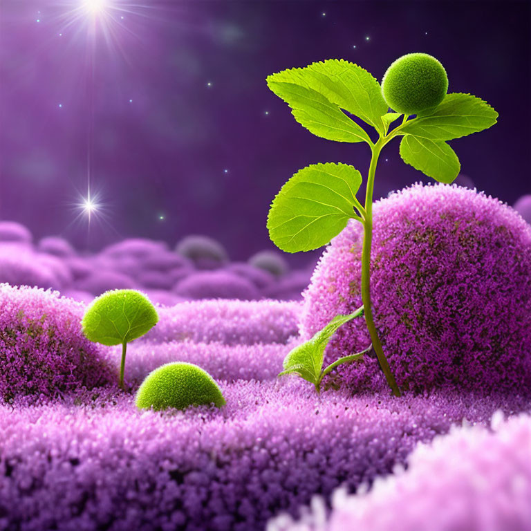 Fantasy landscape with young tree, spherical plants, purple foliage, and starry sky.