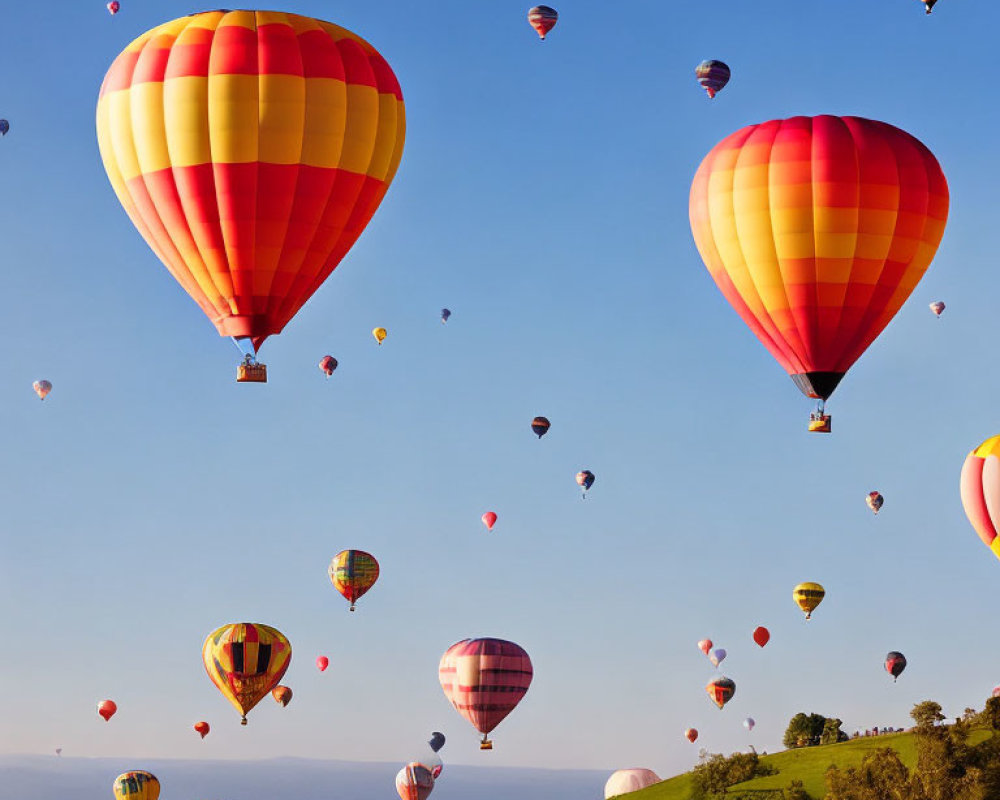 Vibrant hot air balloons over green landscape and blue sky