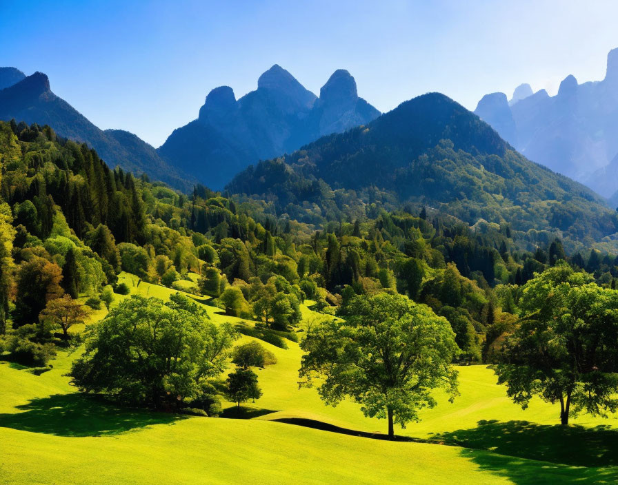 Scenic green meadow with trees and mountains under blue sky