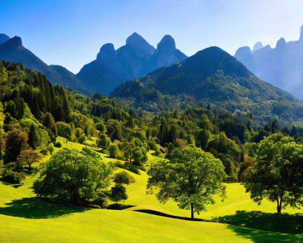 Scenic green meadow with trees and mountains under blue sky