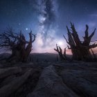 Fantasy landscape with crystal trees under twilight sky