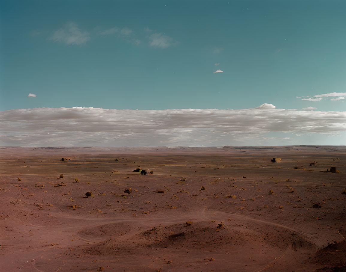 Sparse vegetation and tire tracks in desert landscape.