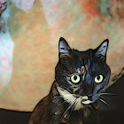 Wide-eyed black and white cat with colorful, stylized background