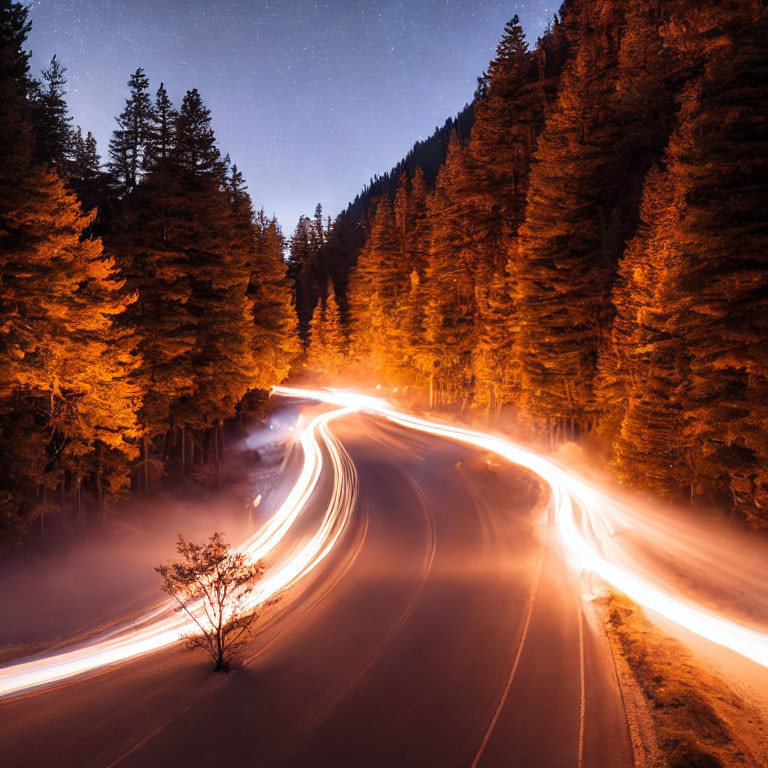 Winding Road Through Autumn Forest at Night