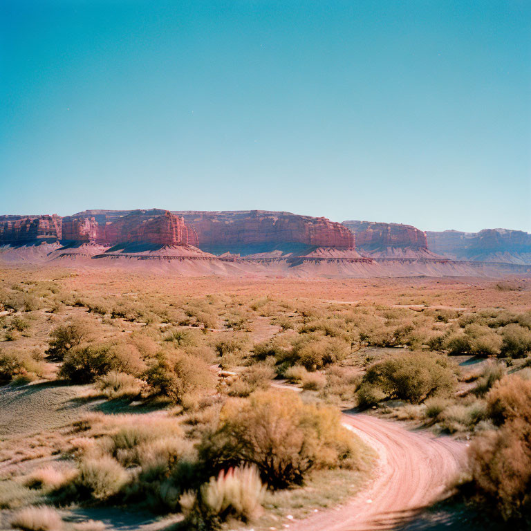 Desert landscape: winding dirt road, sparse shrubbery, red mesa cliffs