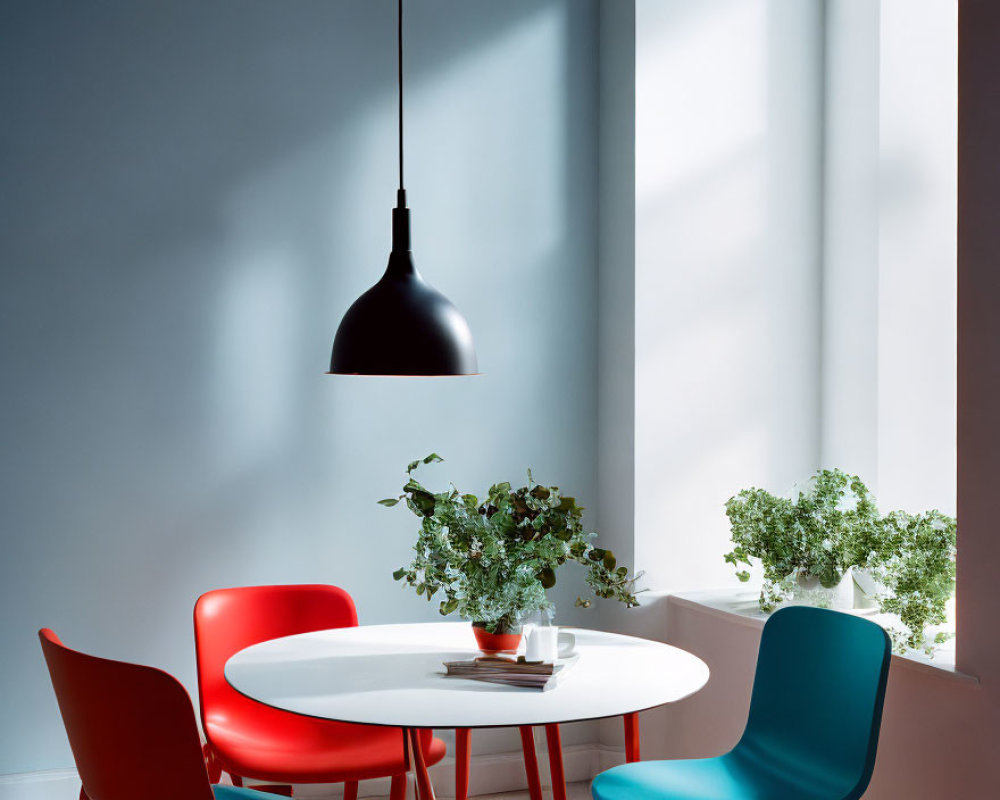 Contemporary interior with white round table, red and blue chairs, hanging lamp, potted plants,