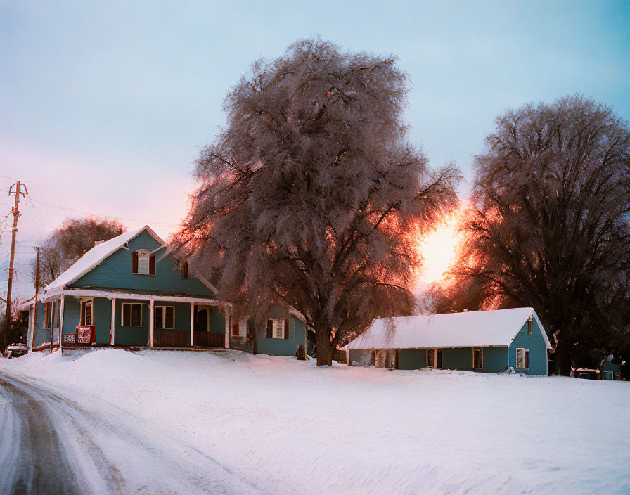 Snowy Dusk Scene: Green House, Frosty Trees, Glowing Sky