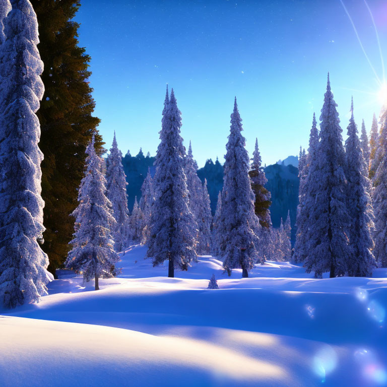 Serene winter forest with snow-covered pine trees & sunbeams