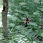 Intricate metalwork spider on web in forest - detailed craftsmanship & industrial aesthetic