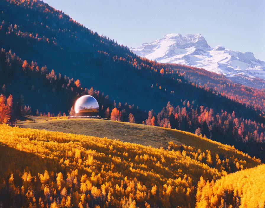 Transparent Bubble Tent in Vibrant Autumn Forest