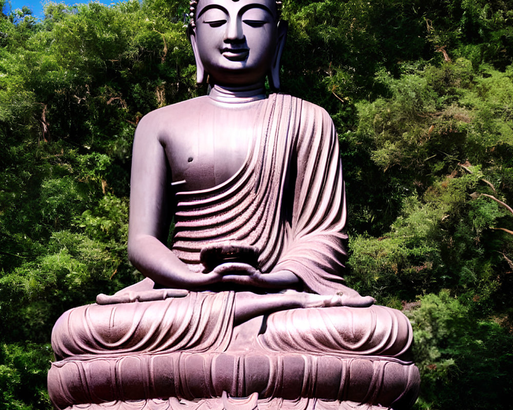 Serene seated Buddha statue amidst lush green trees