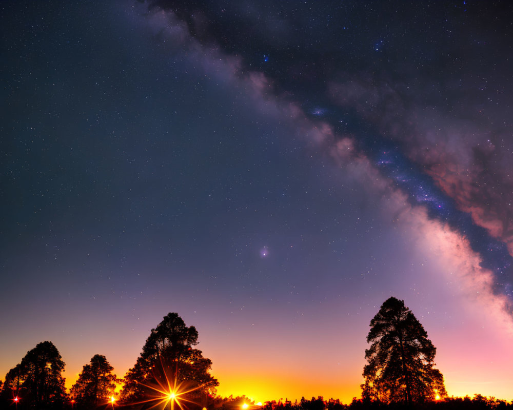 Twilight sky with Milky Way over silhouetted trees