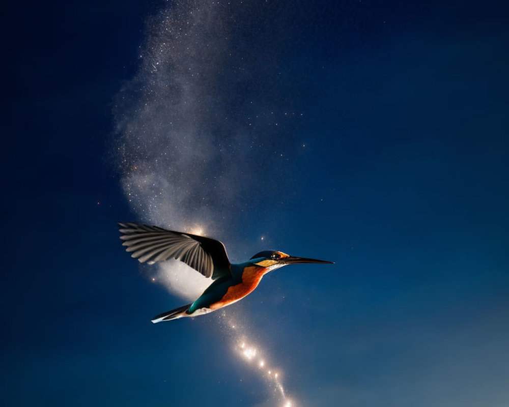 Kingfisher Bird Flying with Water Droplets in Dusky Sky