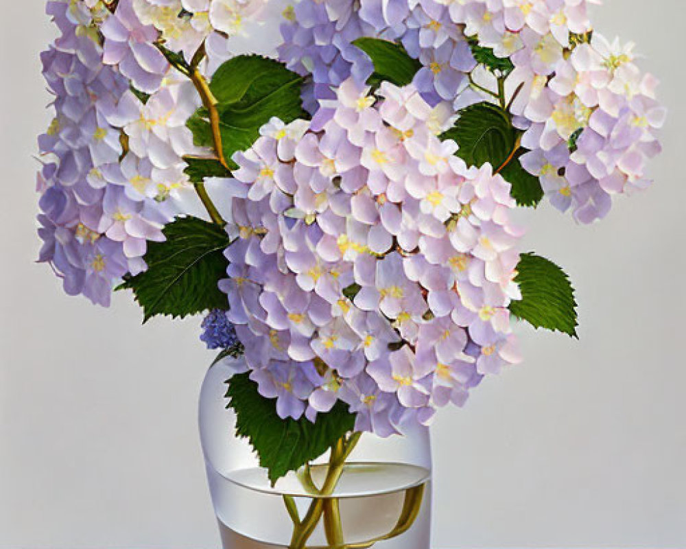 Purple hydrangeas in vase with bees on table - still-life image