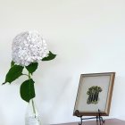 Eclectic Room with Sunglasses Portrait, Plants, Candles, and Ornate Chest