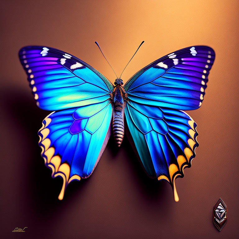 Colorful Butterfly Illustration with Detailed Wings on Gradient Background