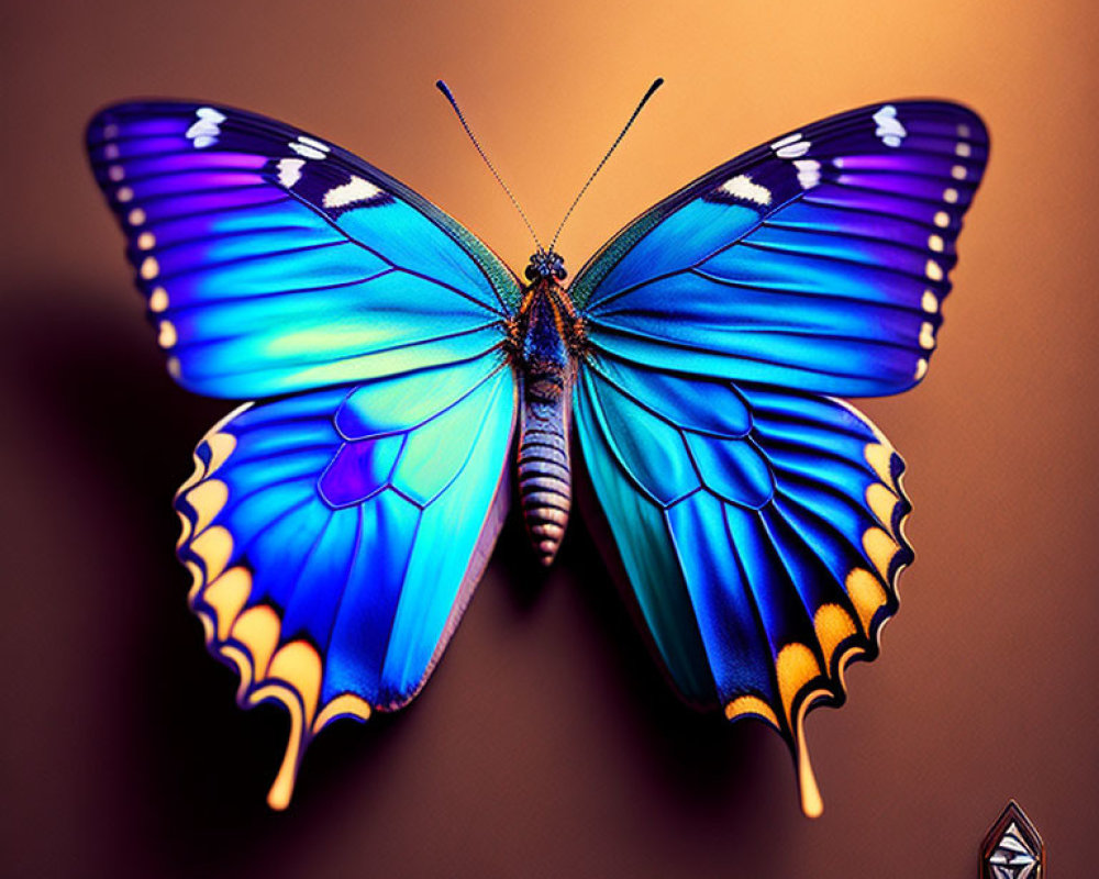 Colorful Butterfly Illustration with Detailed Wings on Gradient Background