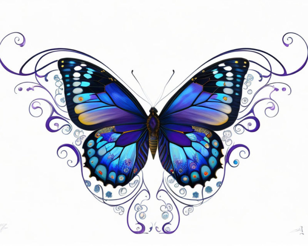 Symmetrical butterfly digital artwork with vivid blue and black wings