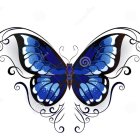 Symmetrical butterfly digital artwork with vivid blue and black wings