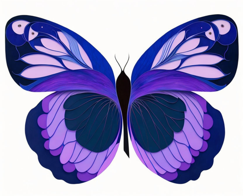 Colorful Butterfly Graphic with Symmetrical Patterns on White Background