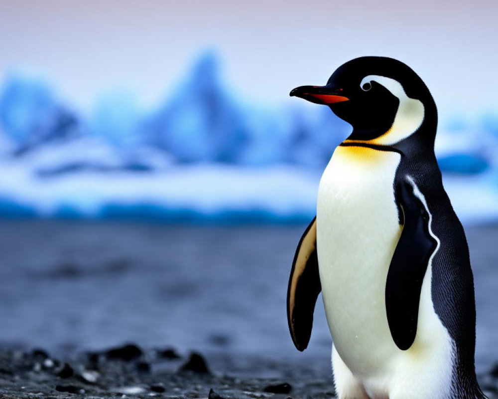 Penguin on Rocky Terrain with Blue Mountains and Twilight Sky