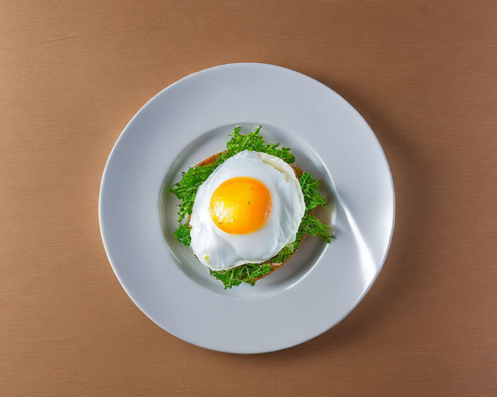 Sunny Side Up Egg on Bed of Lettuce Plate Brown Background