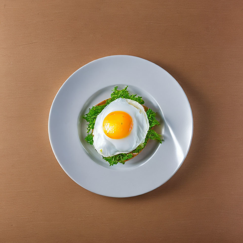 Sunny Side Up Egg on Bed of Lettuce Plate Brown Background