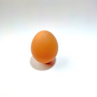 Brown Egg on Off-White Background with Soft Lighting