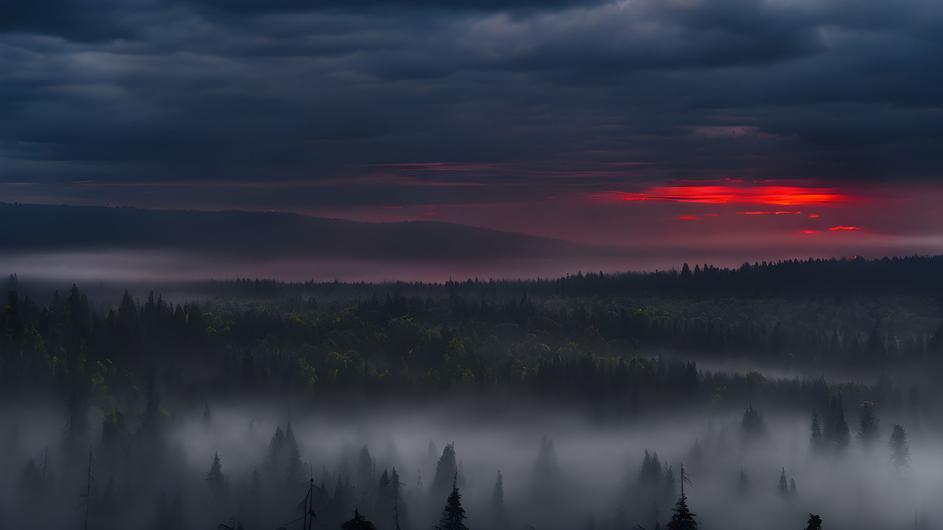 Misty Forest at Dawn with Fog, Dramatic Sky, and Sunlight