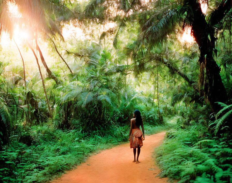 Serene forest path with lush greenery and sunlight filtering through trees